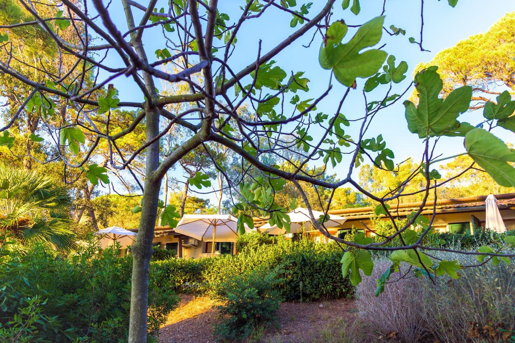 Ottone Hotel Portoferraio